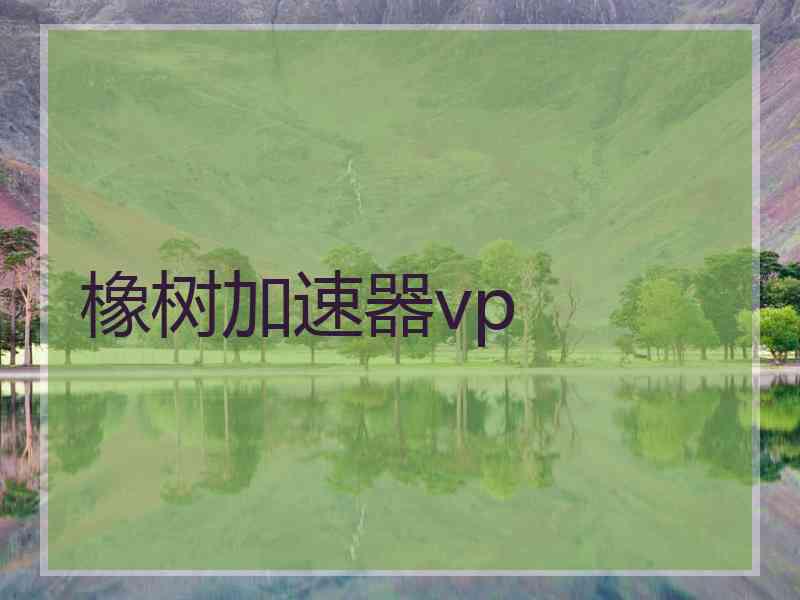 橡树加速器vp