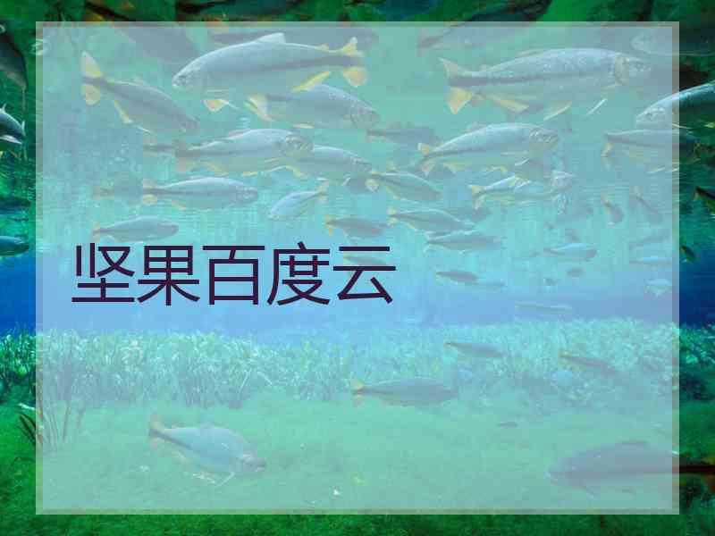 坚果百度云
