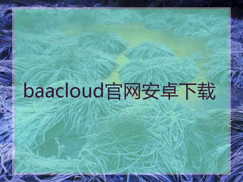 baacloud官网安卓下载