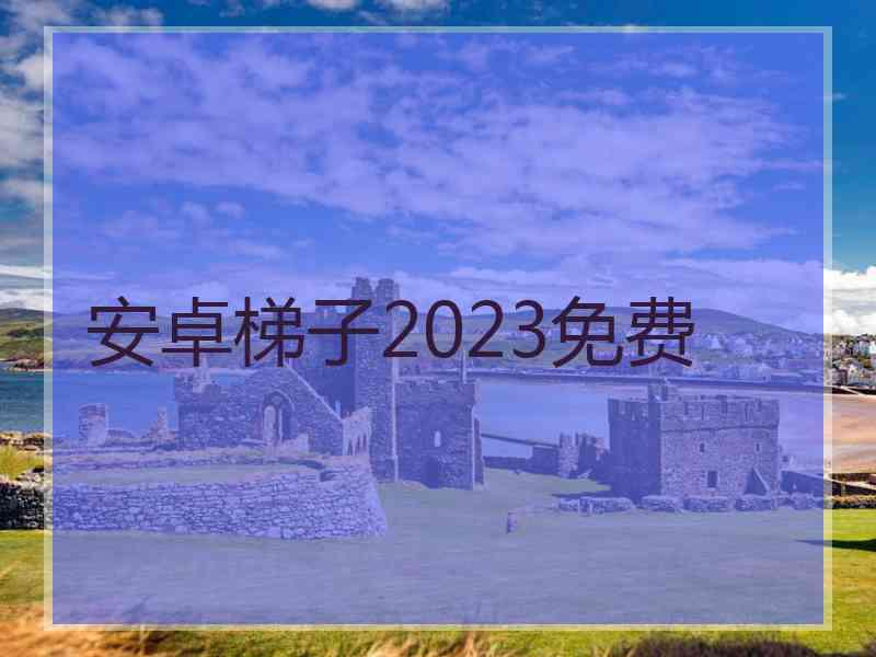 安卓梯子2023免费