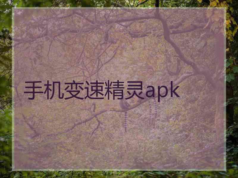 手机变速精灵apk