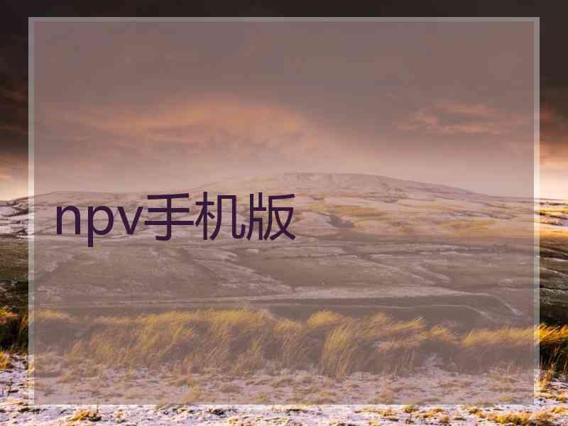 npv手机版