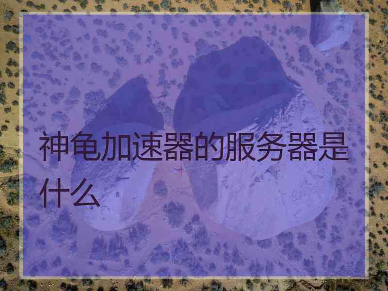 神龟加速器的服务器是什么