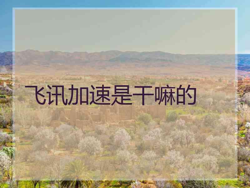 飞讯加速是干嘛的