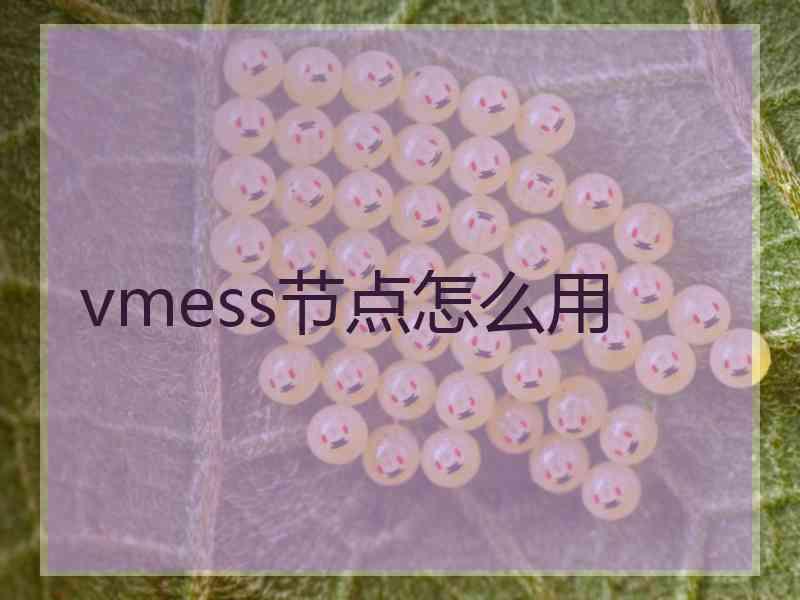 vmess节点怎么用