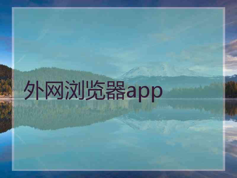 外网浏览器app
