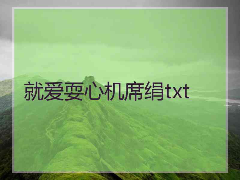 就爱耍心机席绢txt