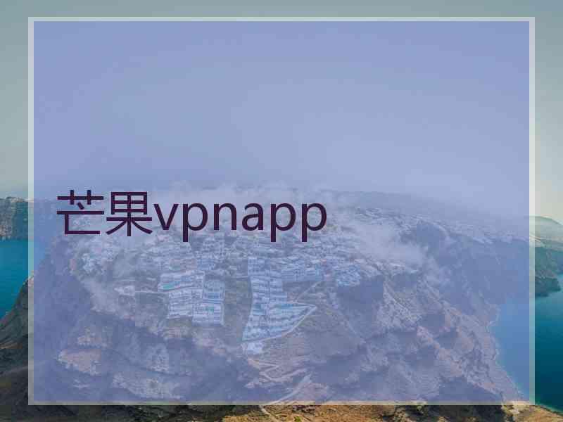 芒果vpnapp