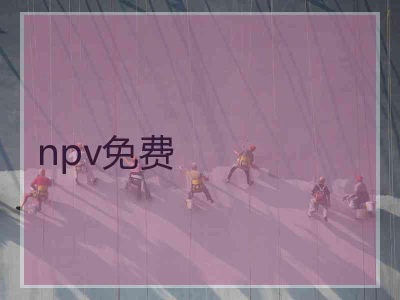 npv免费