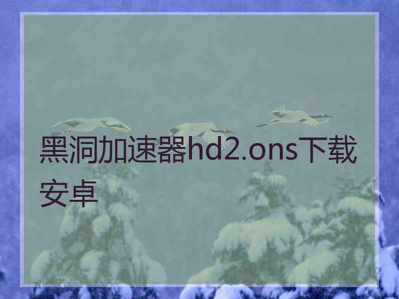 黑洞加速器hd2.ons下载安卓