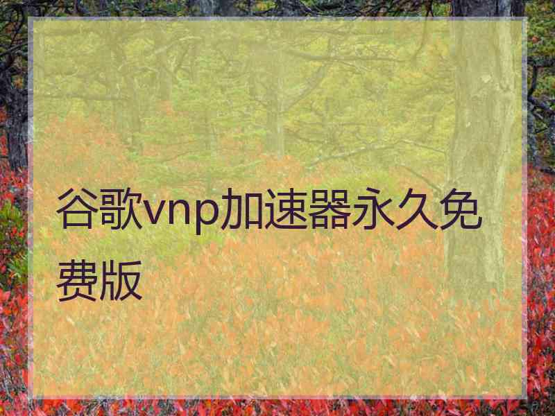 谷歌vnp加速器永久免费版