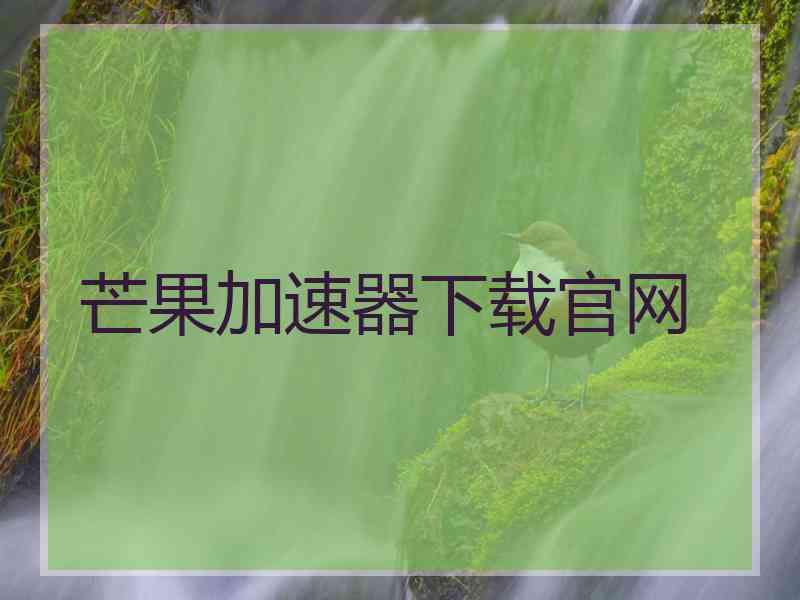 芒果加速器下载官网