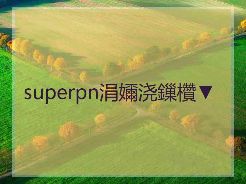 superpn涓嬭浇鏁欑▼