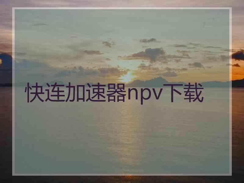 快连加速器npv下载