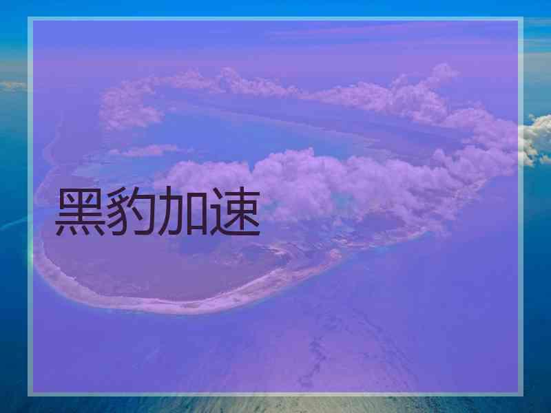 黑豹加速