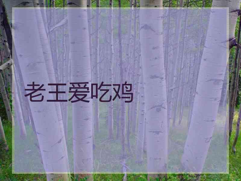 老王爱吃鸡