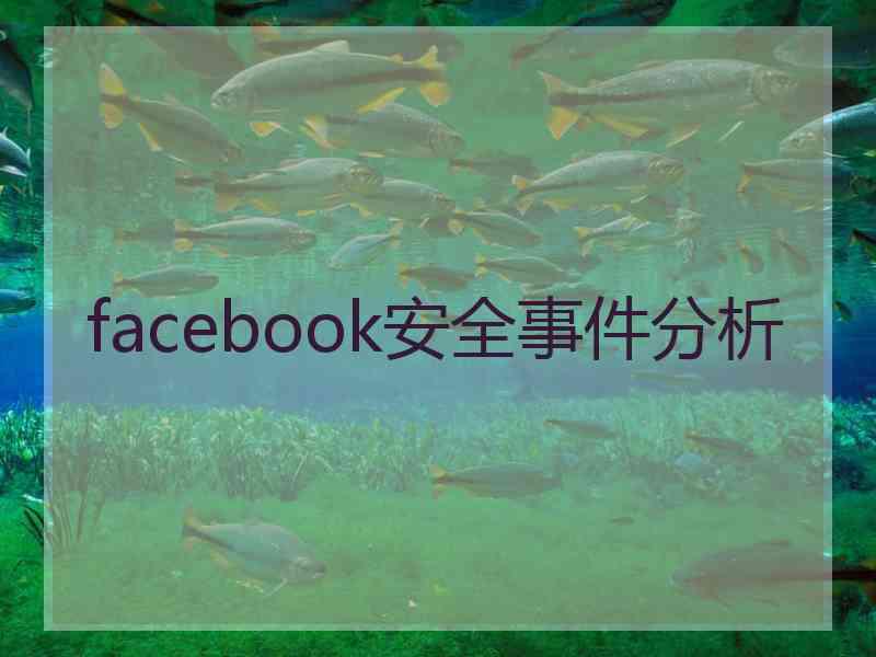 facebook安全事件分析
