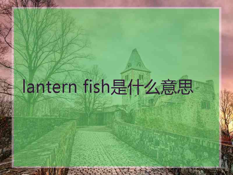 lantern fish是什么意思
