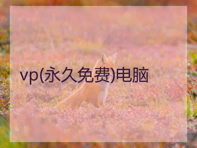 vp(永久免费)电脑