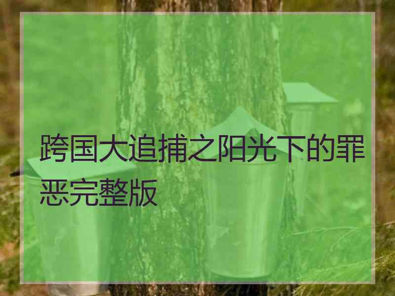 跨国大追捕之阳光下的罪恶完整版