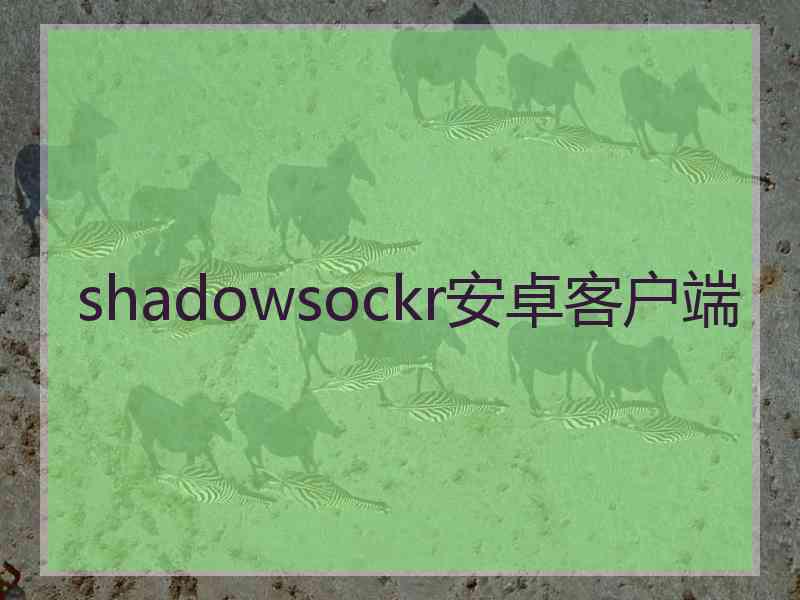 shadowsockr安卓客户端