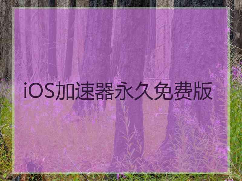 iOS加速器永久免费版