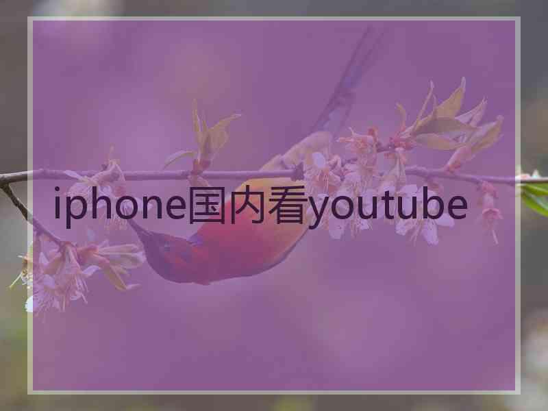 iphone国内看youtube