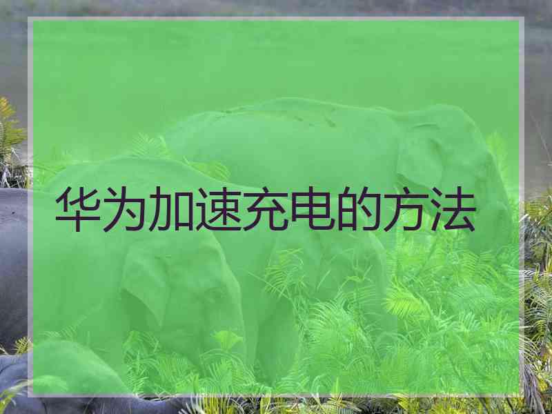 华为加速充电的方法