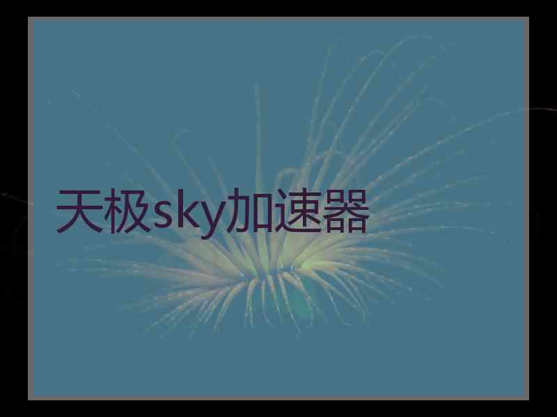 天极sky加速器