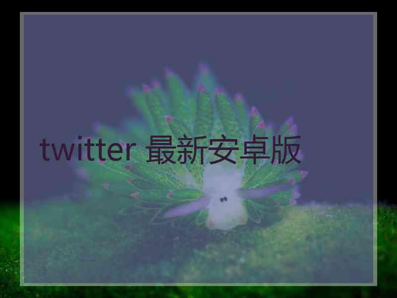 twitter 最新安卓版