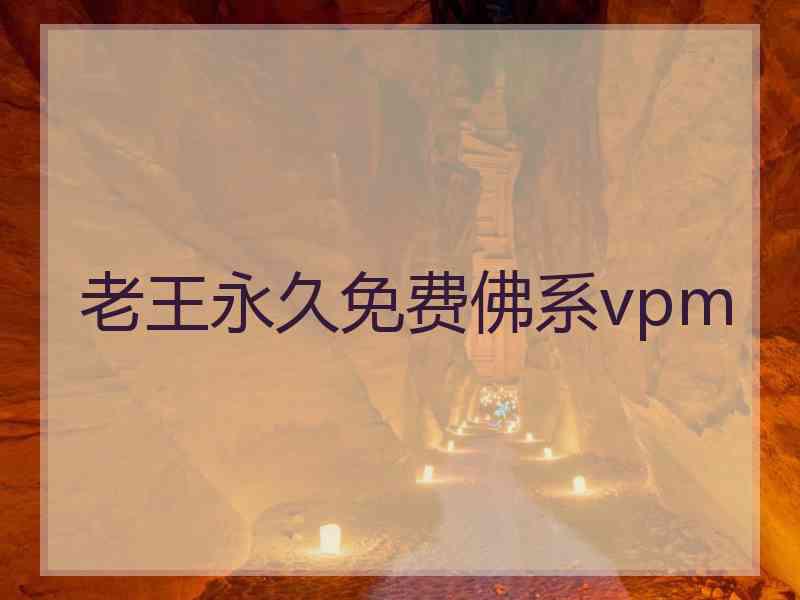 老王永久免费佛系vpm