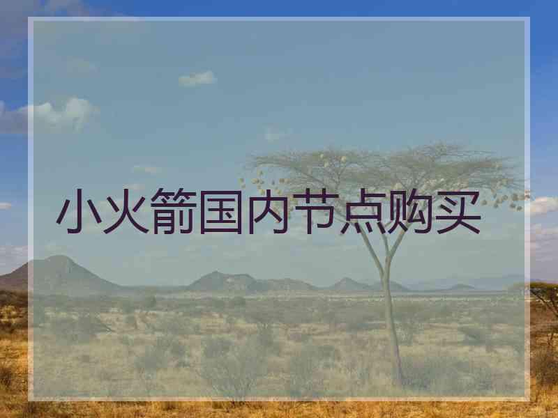 小火箭国内节点购买