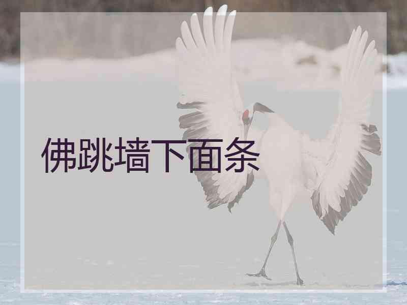 佛跳墙下面条