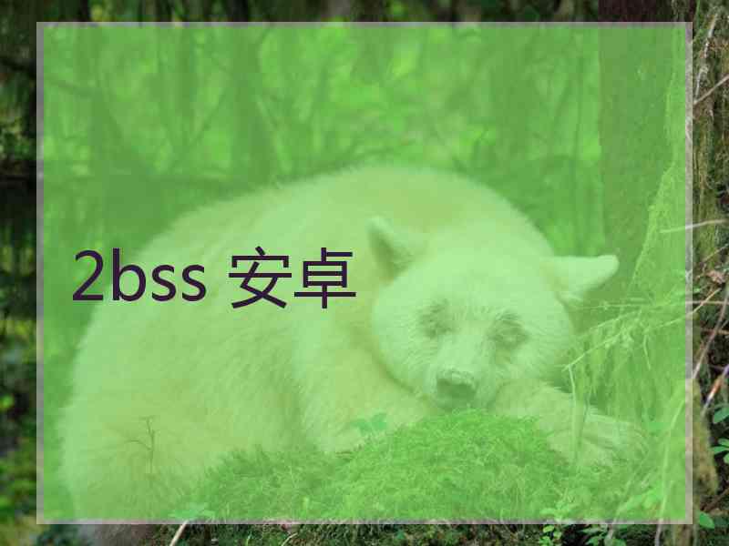 2bss 安卓