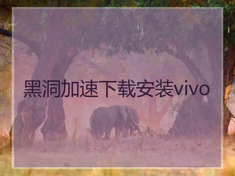 黑洞加速下载安装vivo