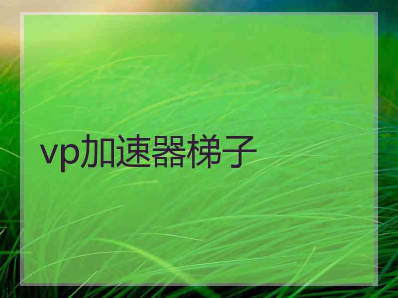 vp加速器梯子