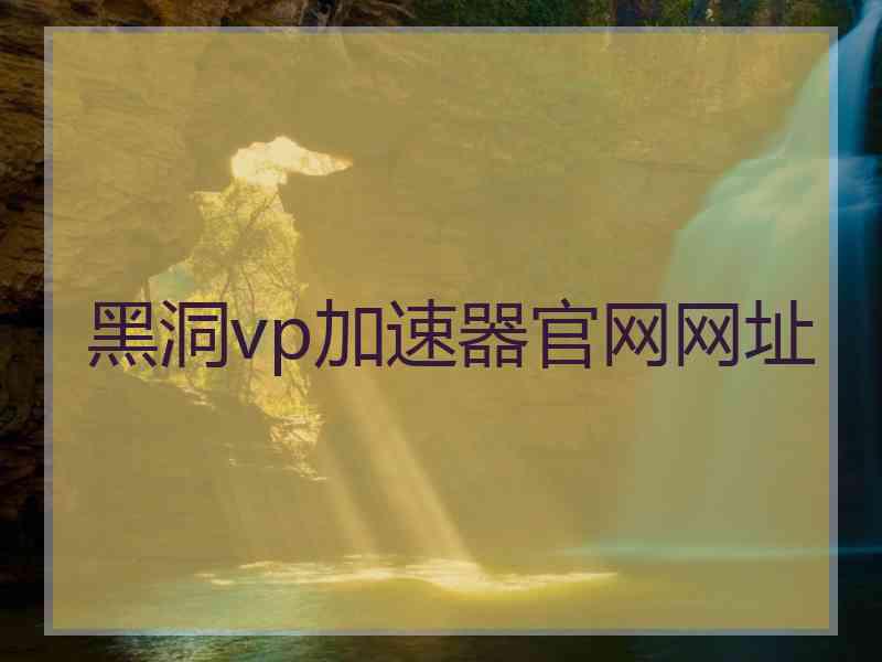 黑洞vp加速器官网网址