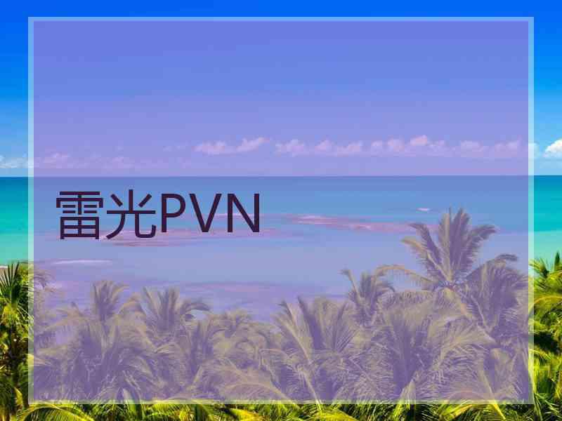 雷光PVN