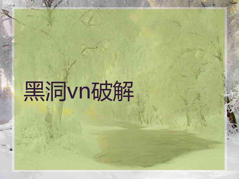 黑洞vn破解