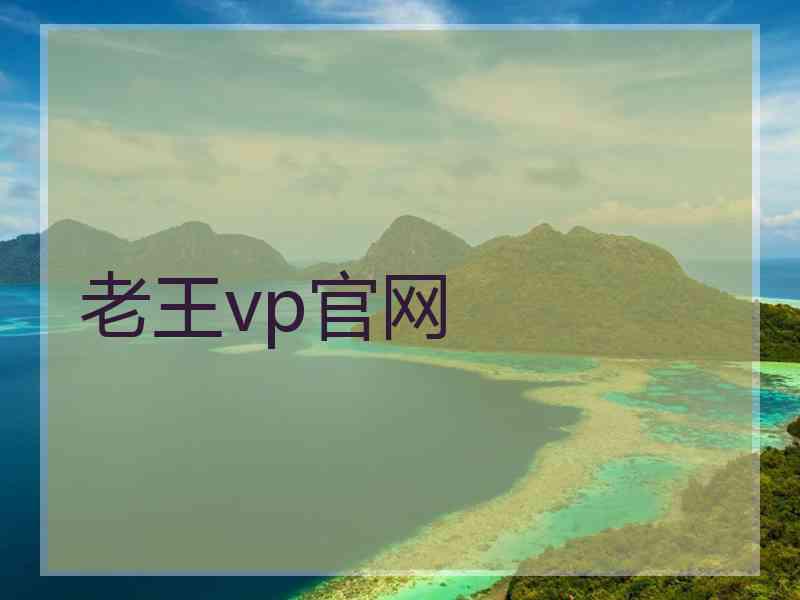 老王vp官网