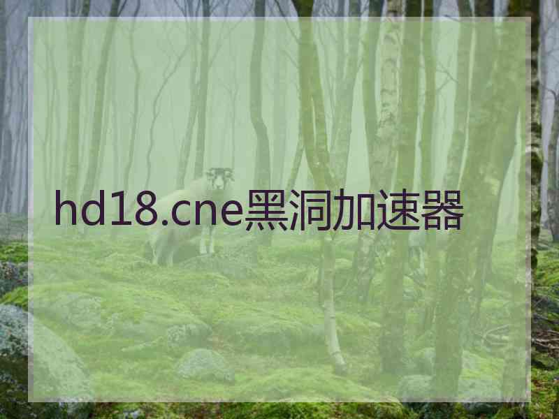 hd18.cne黑洞加速器