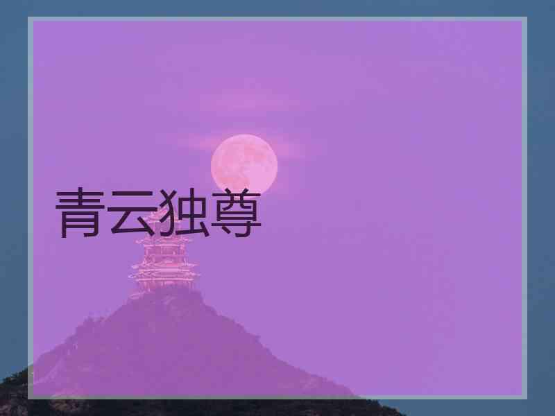 青云独尊