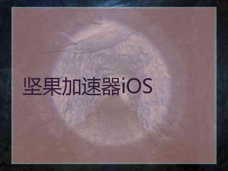 坚果加速器iOS