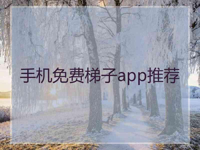 手机免费梯子app推荐