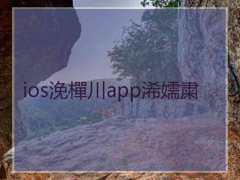 ios浼樿川app浠嬬粛