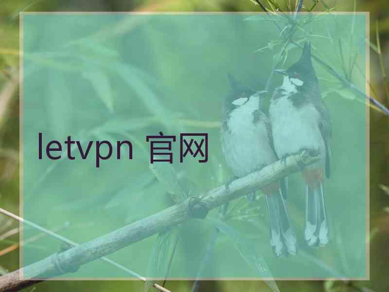 letvpn 官网