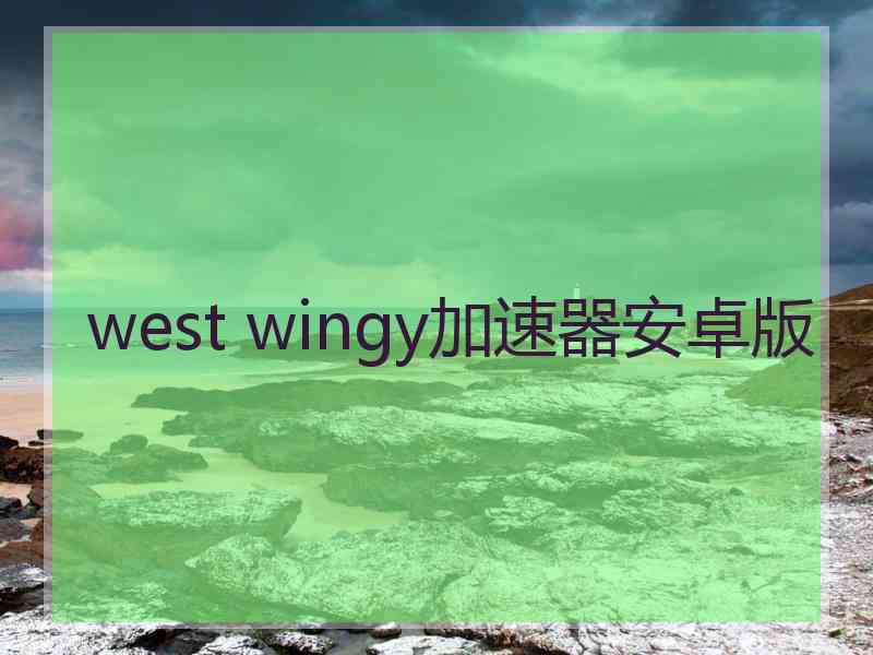 west wingy加速器安卓版