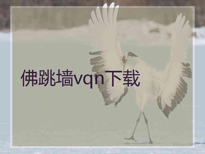 佛跳墙vqn下载