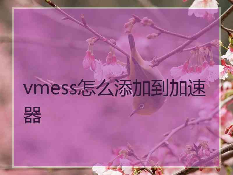 vmess怎么添加到加速器