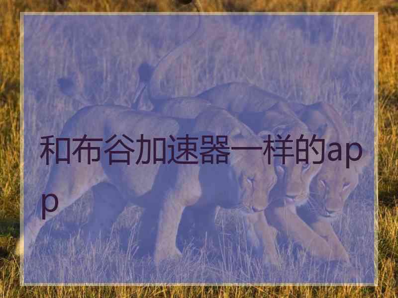 和布谷加速器一样的app